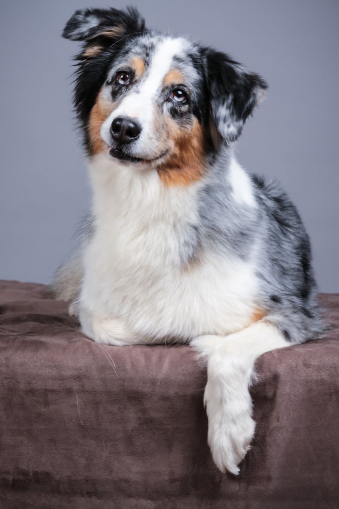 Fybie blue Valley Nasr